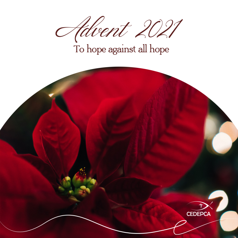 Advent 2021 – CEDEPCA